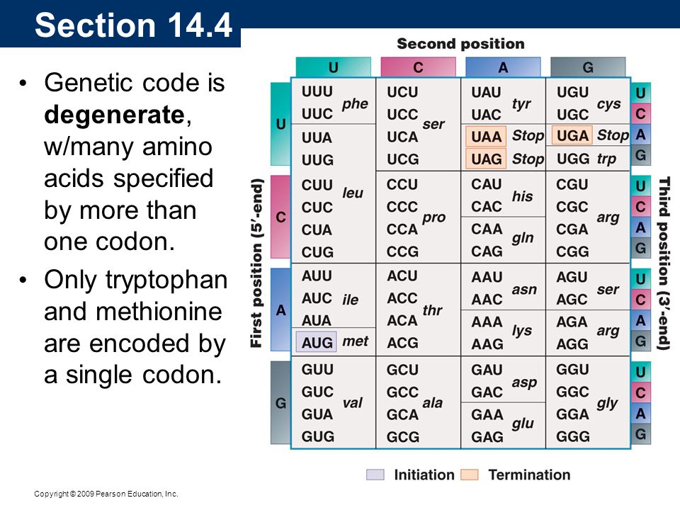 Coding properties. Genetic code. Genetic code properties. Genetic code жижа. Genetic code Table.