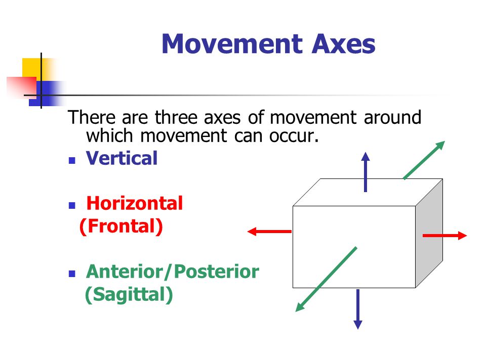 Movement Axes There are three axes of movement around which movement can occur. Vertical. Horizontal.