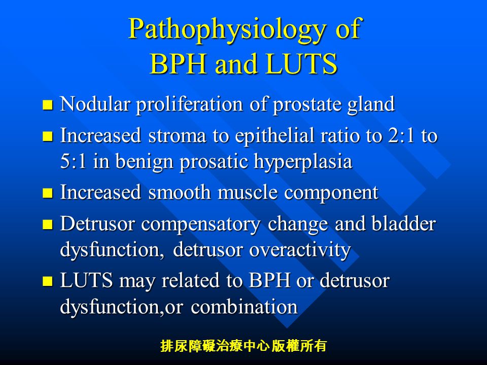 benign prostatic hyperplasia pathophysiology ppt)