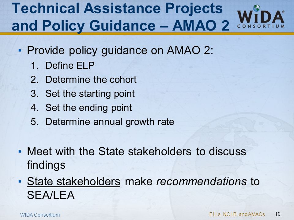 Technical Assistance Projects and Policy Guidance – AMAO 2