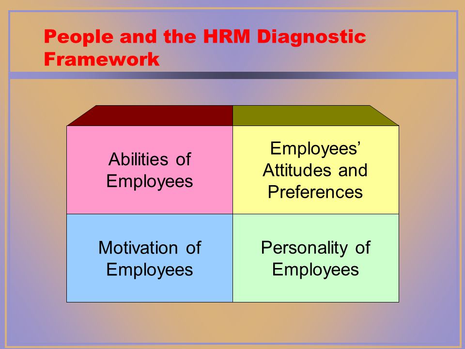 People and the HRM Diagnostic Framework