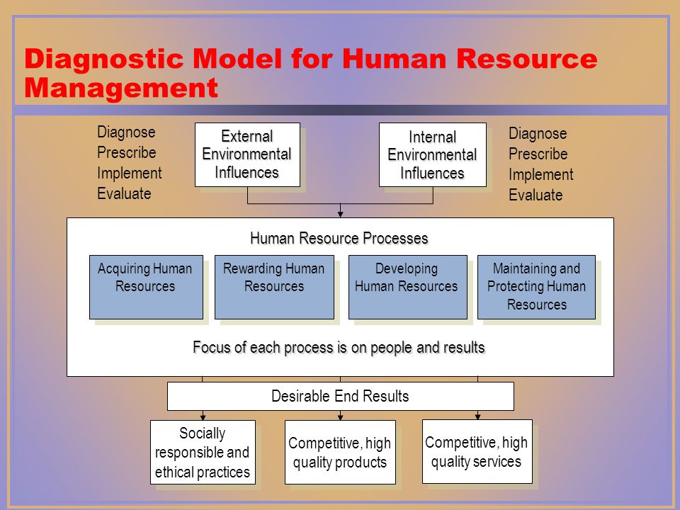 Diagnostic Model for Human Resource Management