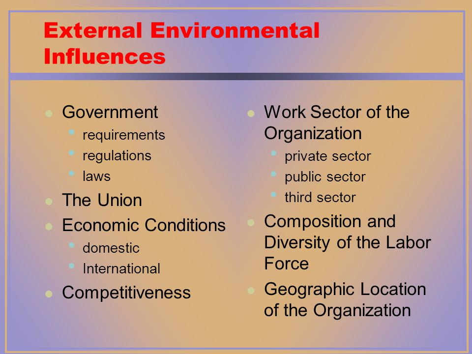 External Environmental Influences