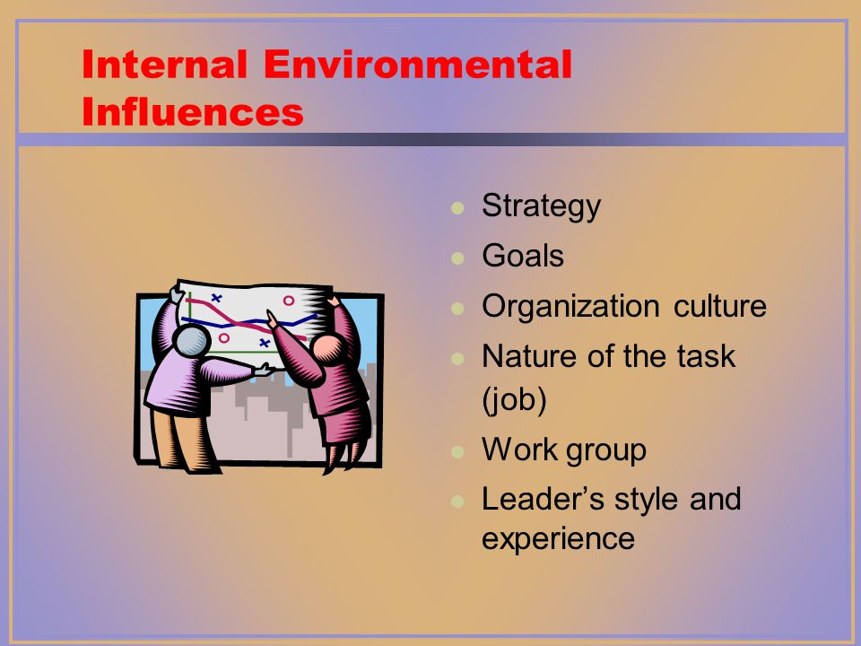 Internal Environmental Influences