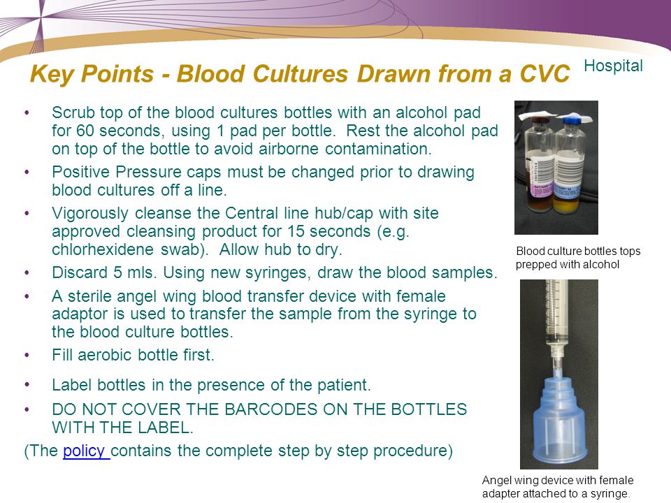 drawing blood cultures from central line