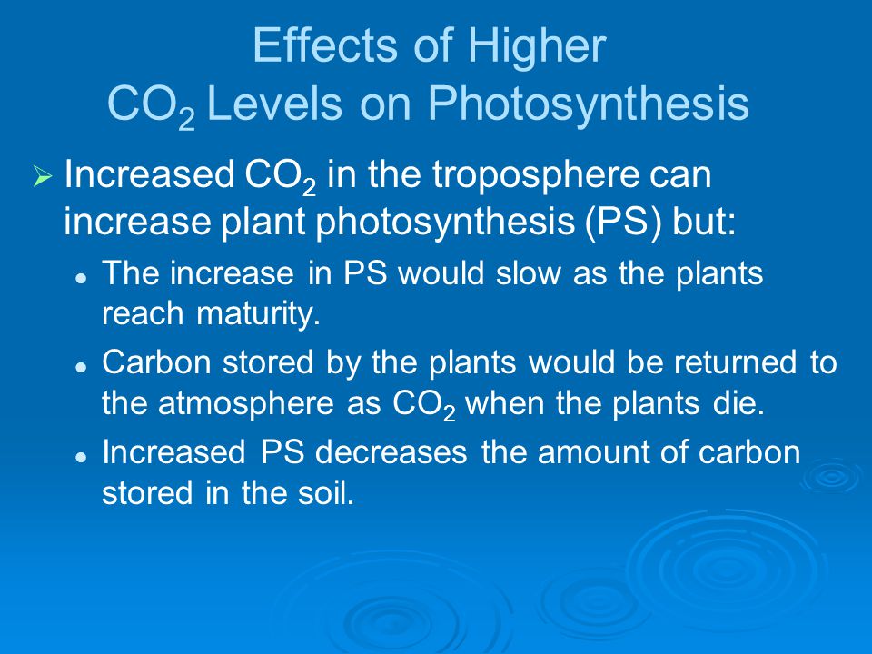 Effects of Higher CO2 Levels on Photosynthesis