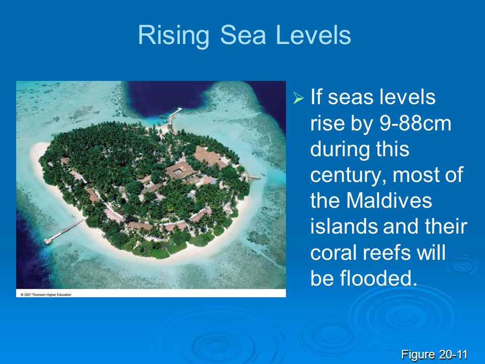 Rising Sea Levels If seas levels rise by 9-88cm during this century, most of the Maldives islands and their coral reefs will be flooded.