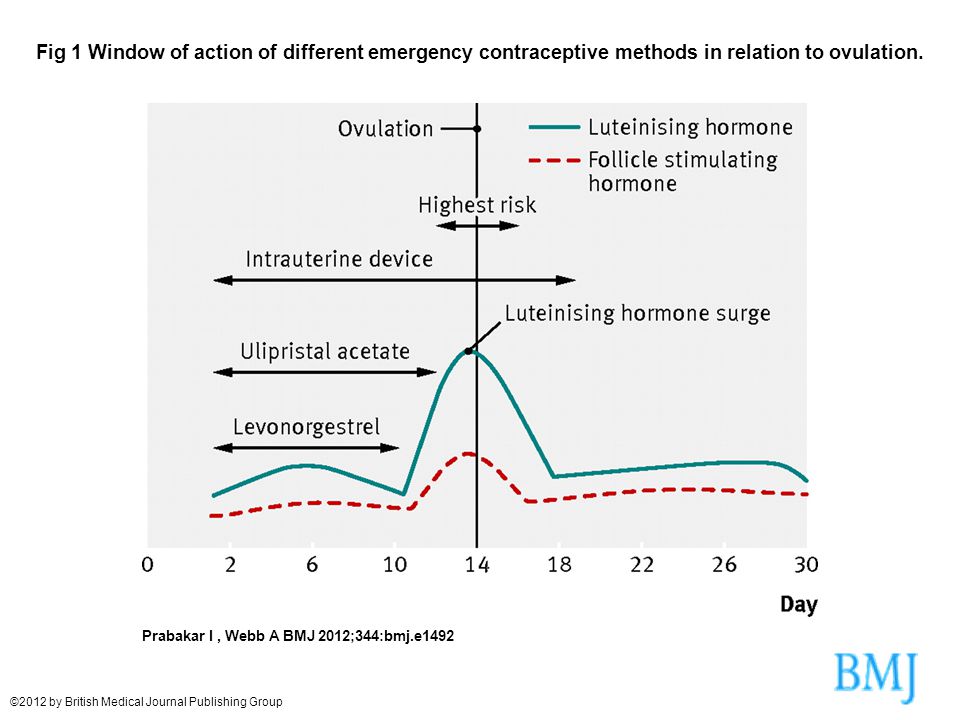 Emergency Contraception Update Ppt Video Online Download