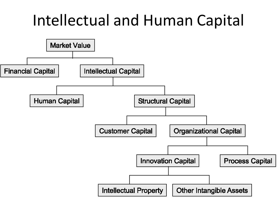 Intellectual and Human Capital
