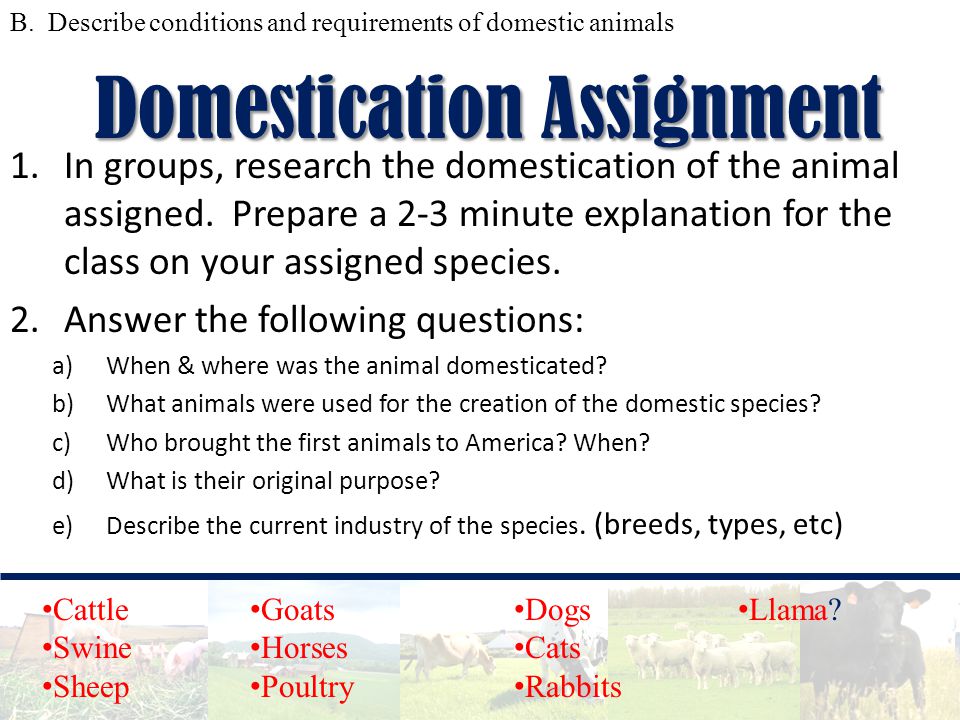 Introduction to ANIMAL SCIENCE - ppt video online download