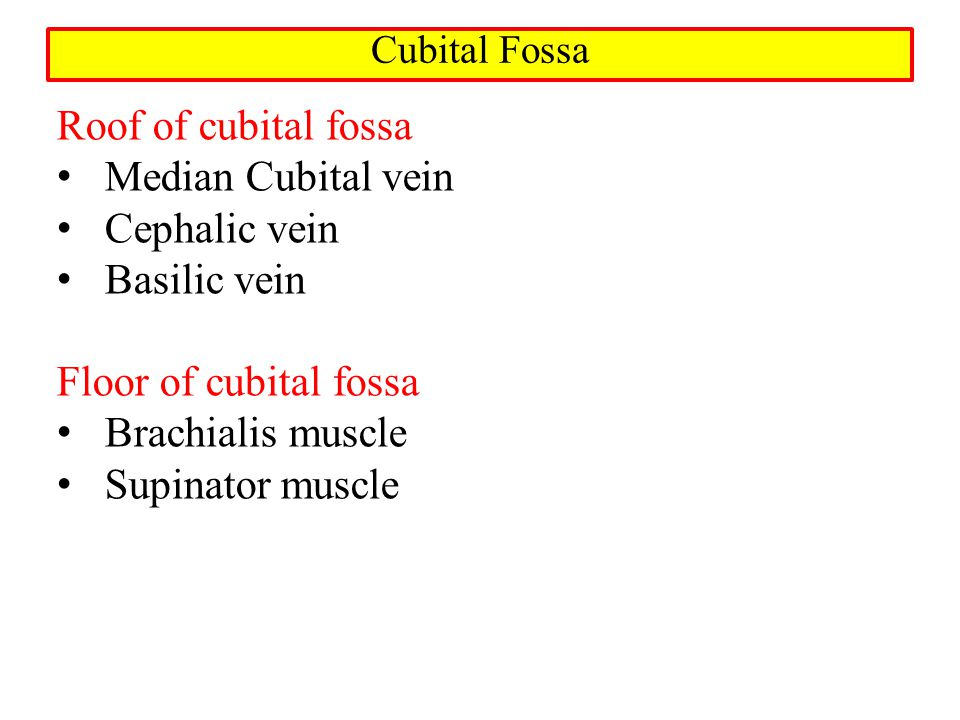 Muscles Of Arm Cubital Fossa And Elbow Joint Dr Sama Ul Haque Ppt Video Online Download
