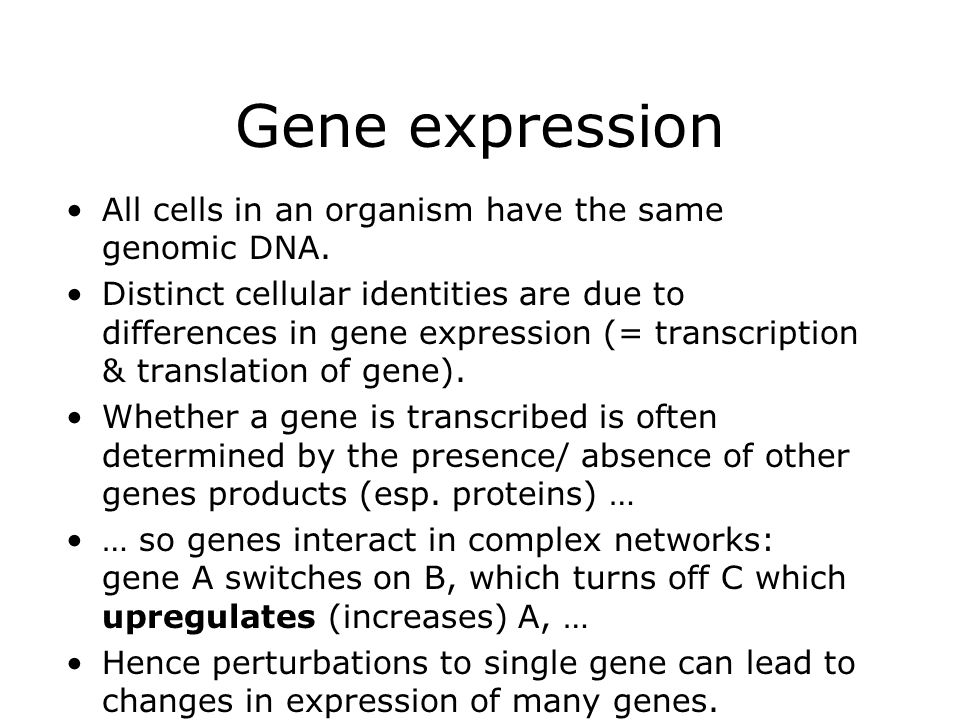 Gene expression All cells in an organism have the same genomic DNA.