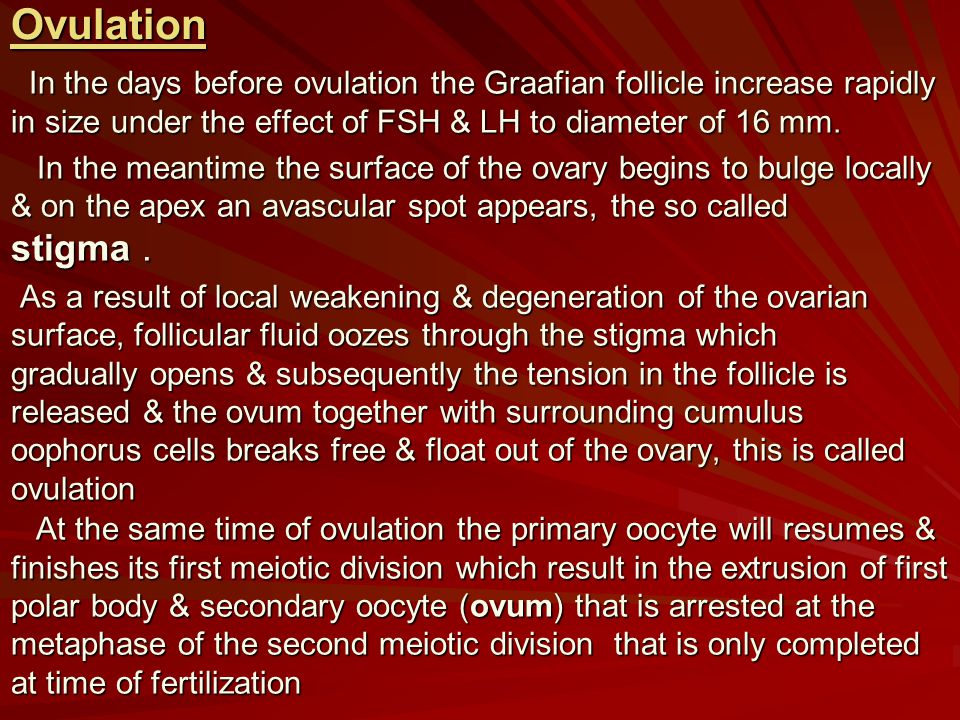 The Gametes Primordial Germ Cells Appear In The Yolk Sac Early In