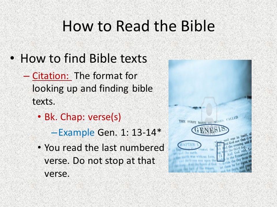 How to Read the Bible How to find Bible texts