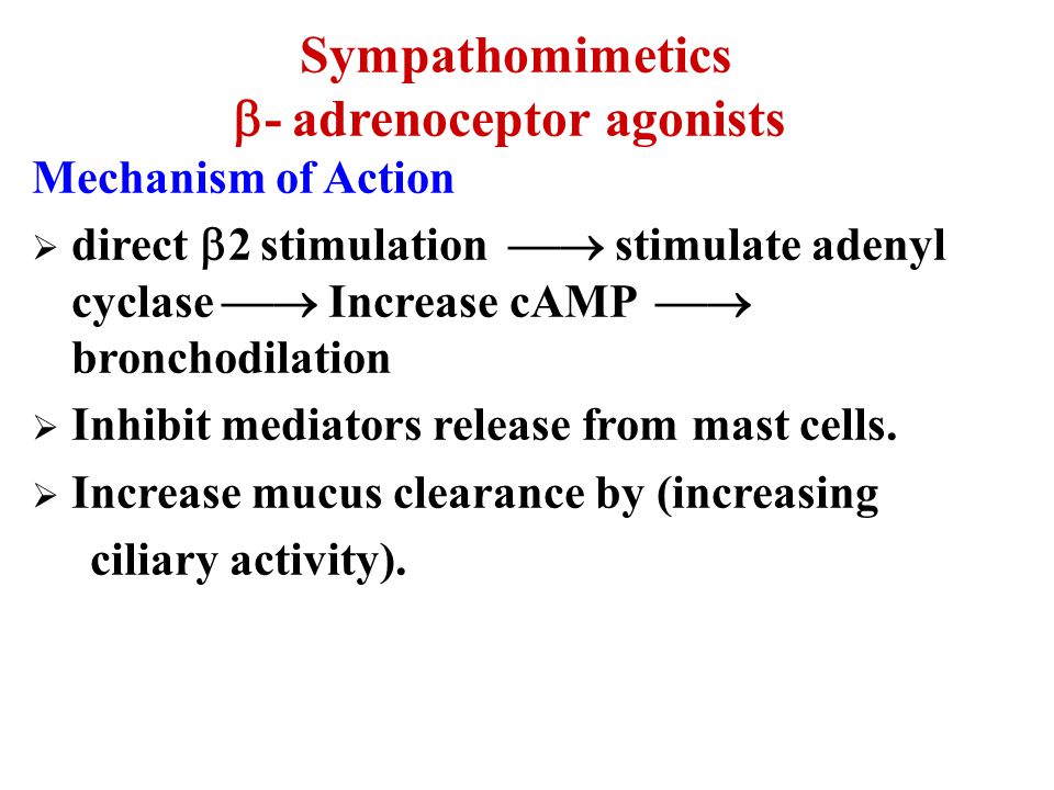 Salbutamol Mechanism Of Action Ventolin Inhaler Mechanism Of Action Mims Indonesia Salbutamol Comes In An Inhaler Puffer