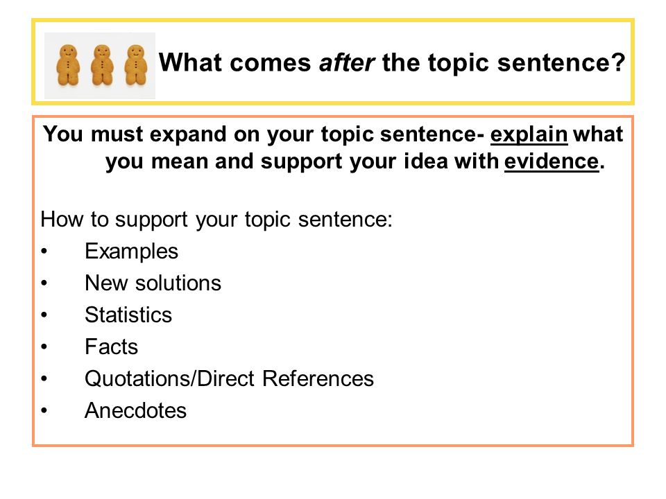 What comes after the topic sentence