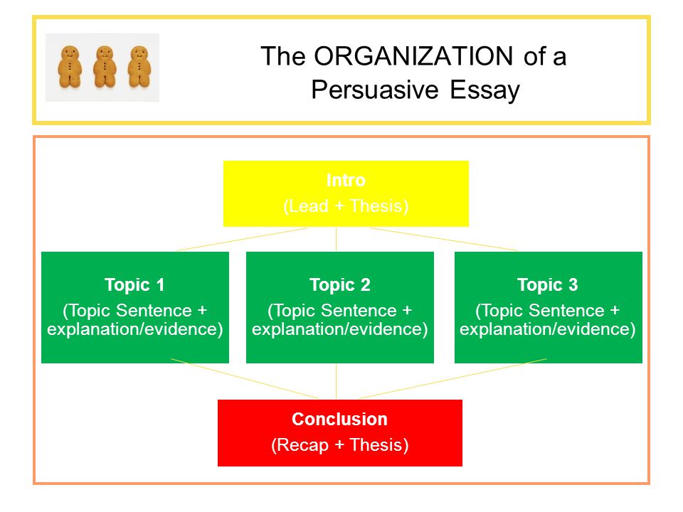 The ORGANIZATION of a Persuasive Essay