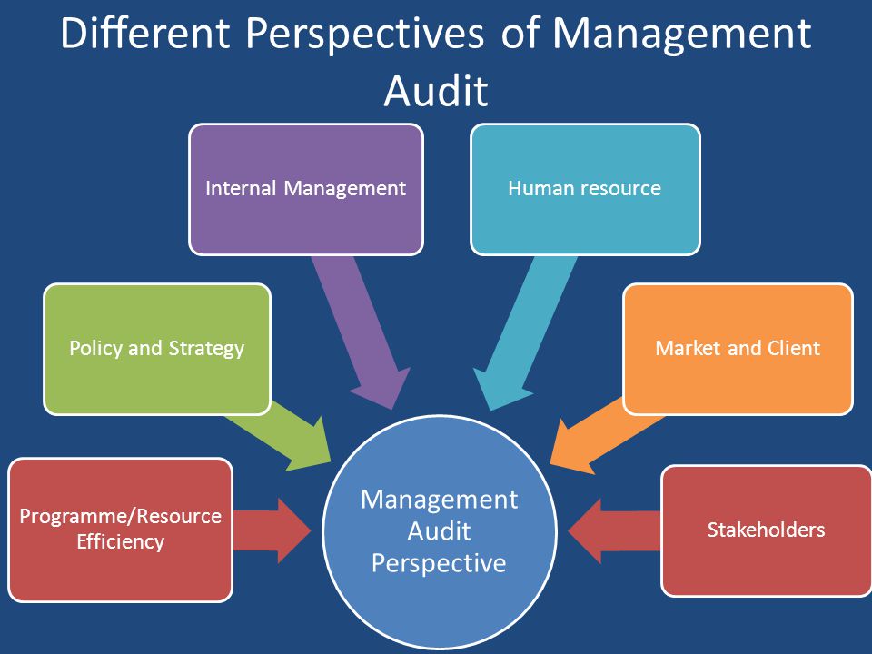 Different Perspectives of Management Audit