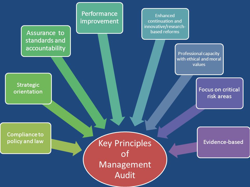 Key Principles of Management Audit