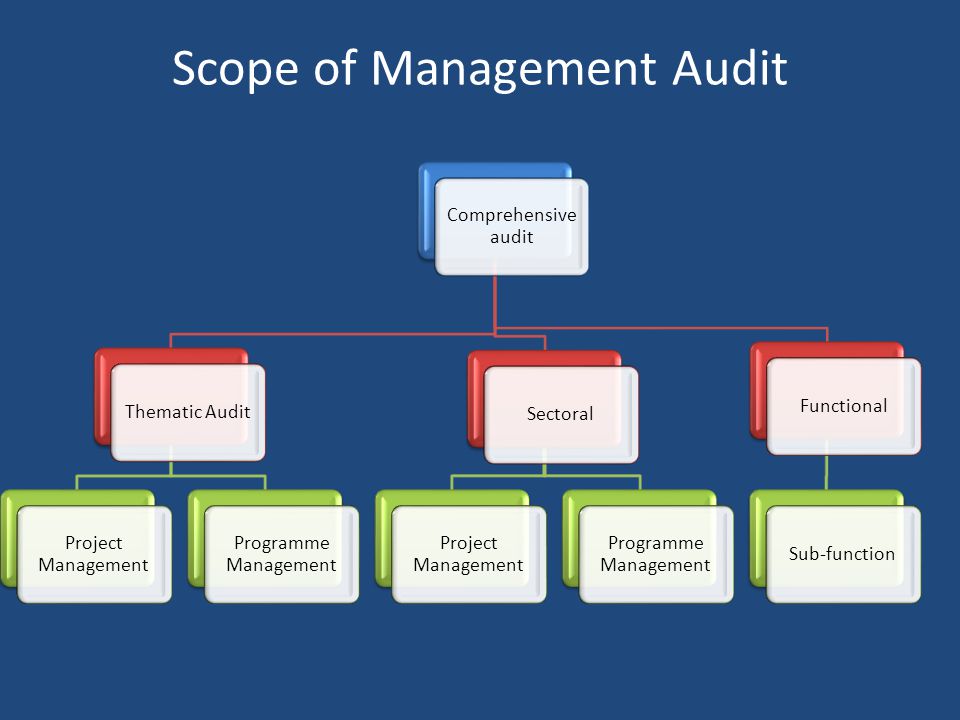 Scope of Management Audit