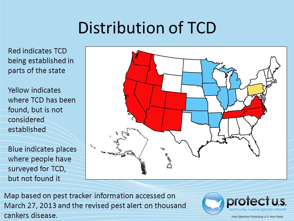 Thousand Cankers Disease Ppt Download - 12 distribution