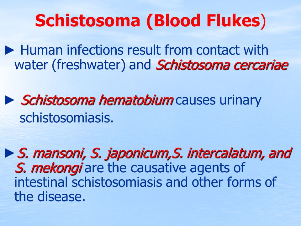 schistosomiasis agent cancer de hodgkin sintomas
