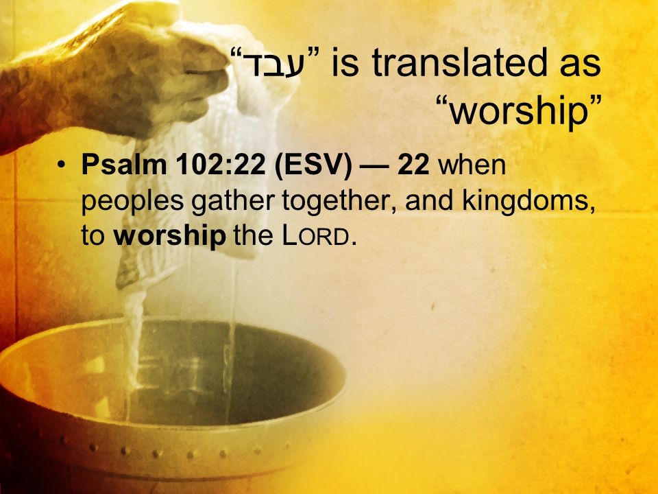 עבד is translated as worship