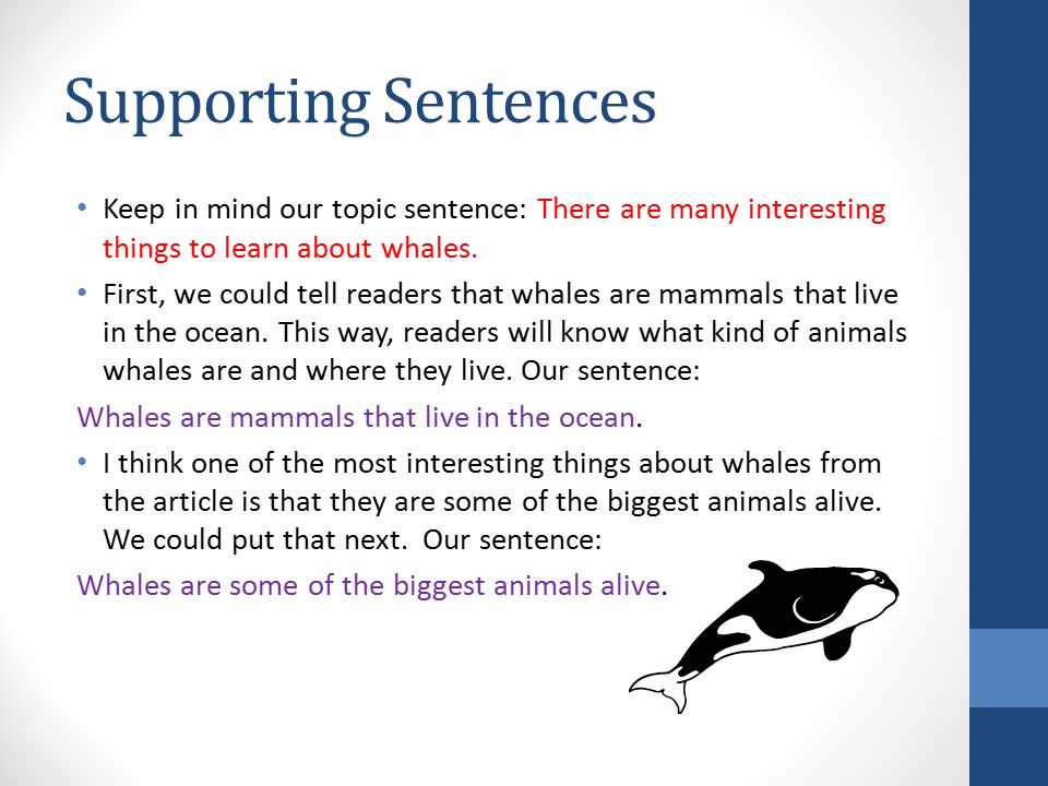 Topic sentence supporting sentences. Supporting sentences. Topic sentence.