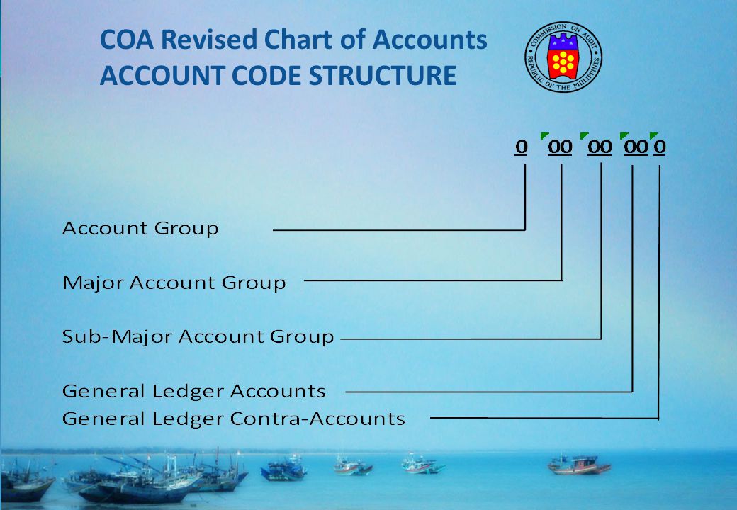Revised Chart Of Accounts For National Government Agencies