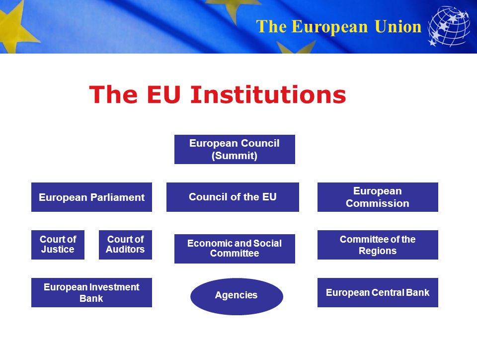 The EU Institutions European Council (Summit) European Parliament