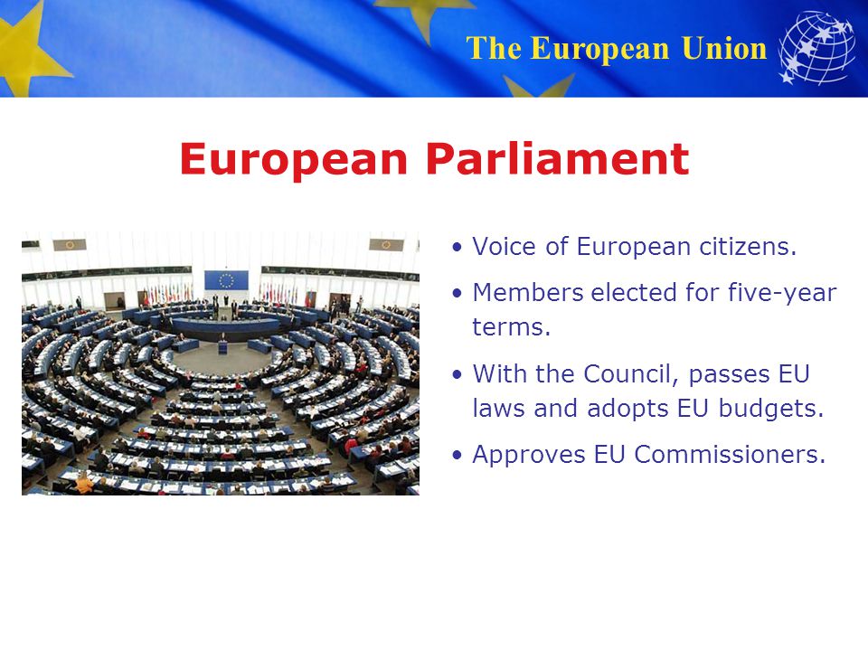 European Parliament Voice of European citizens.