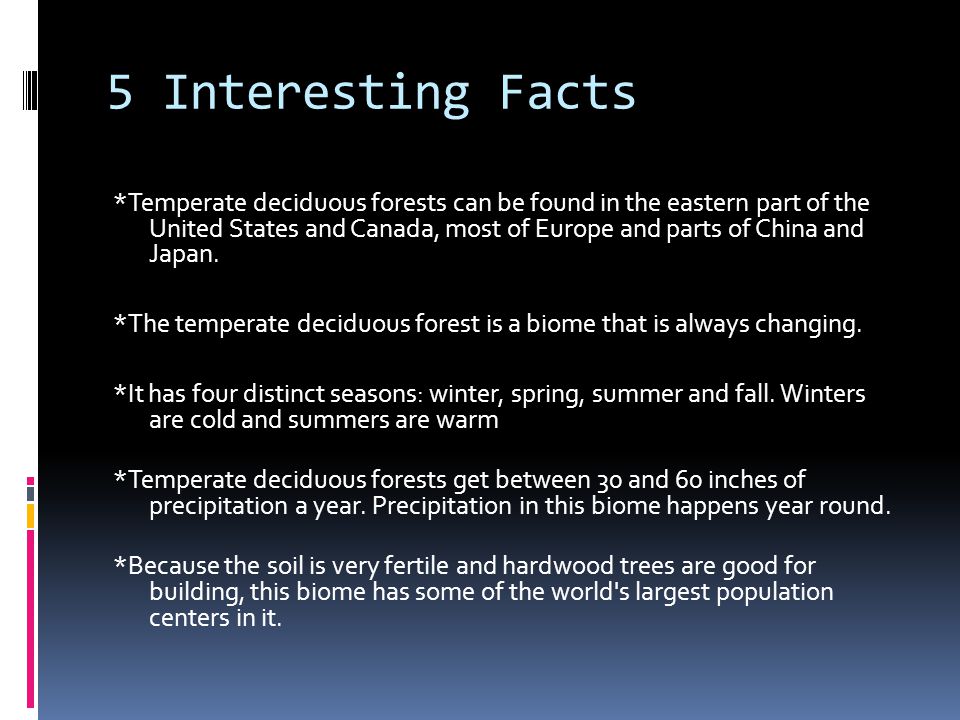 5 Interesting Facts