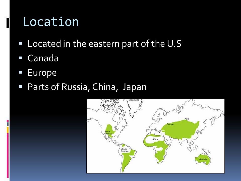 Location Located in the eastern part of the U.S Canada Europe