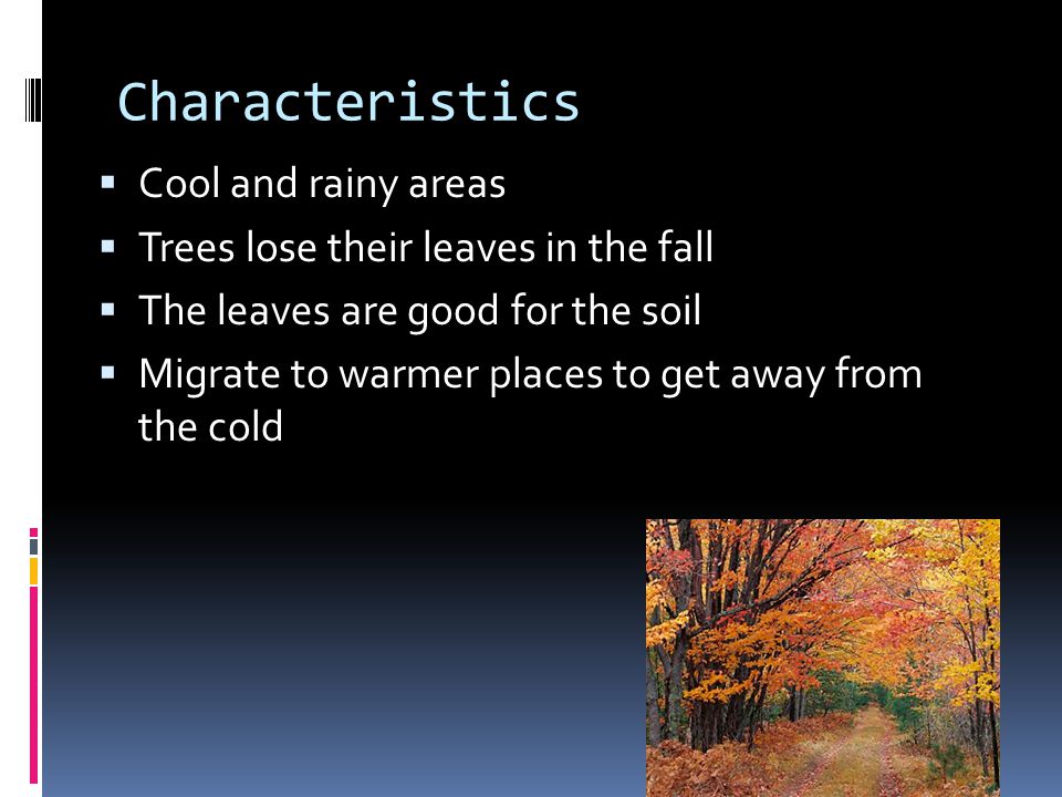Characteristics Cool and rainy areas
