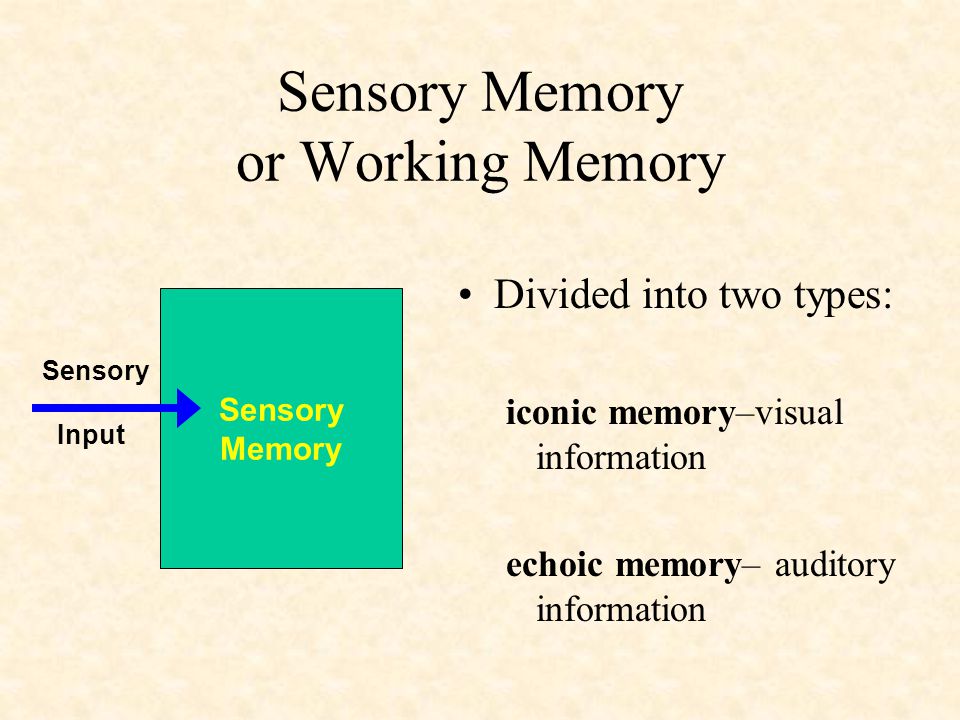 Sensory Input & Sensory Memory