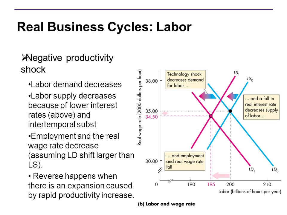 Real Business Cycles: Labor