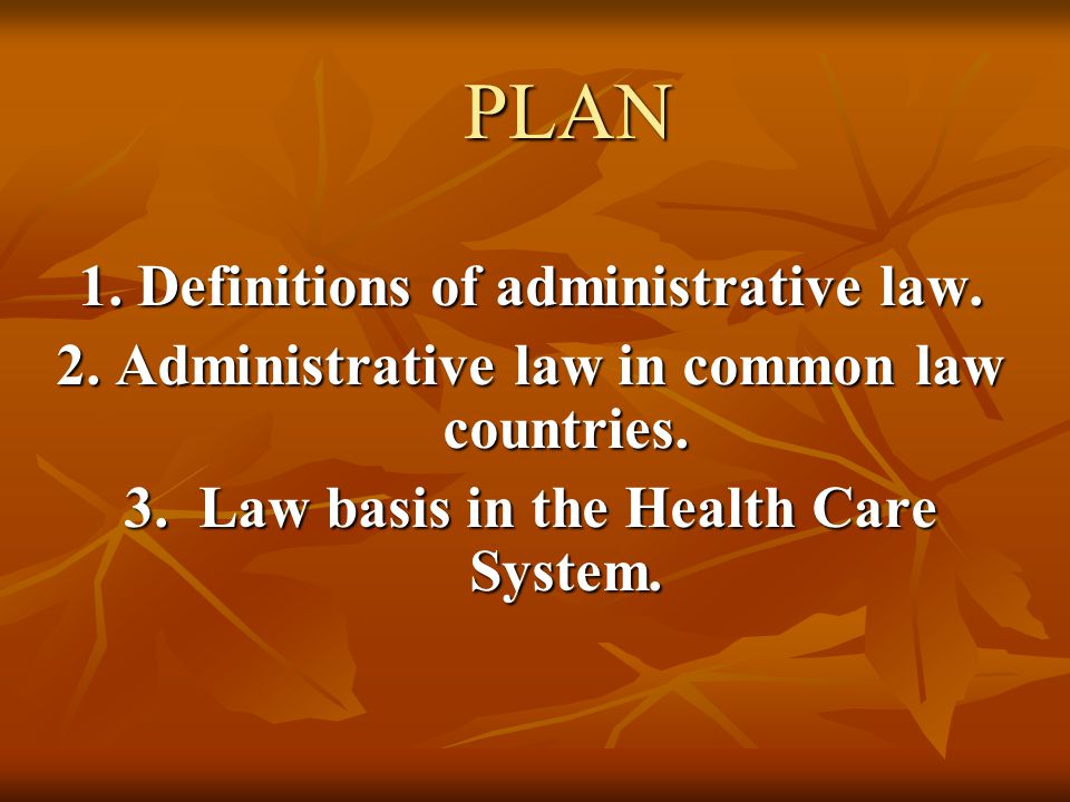 PLAN 1. Definitions of administrative law.