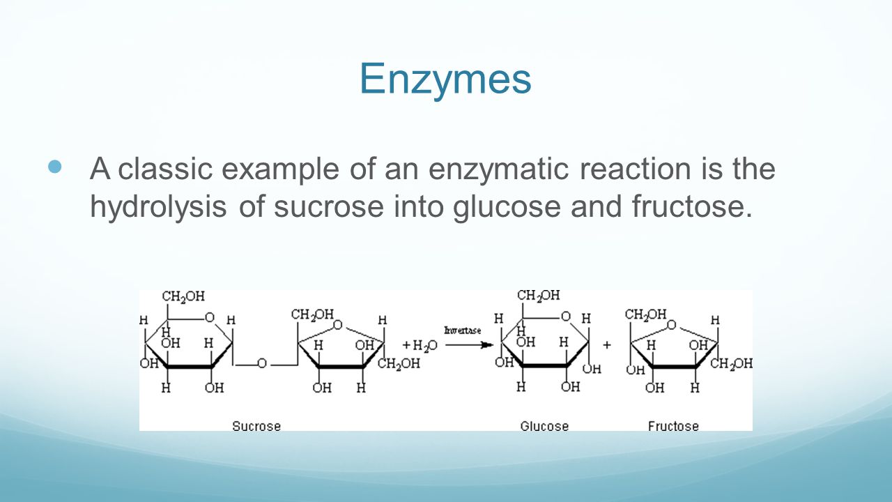 Фруктоза ферменты. Геншин sucrose. Sucrose Fructose. Sucrose glucose. Sucrose hydrolysis.