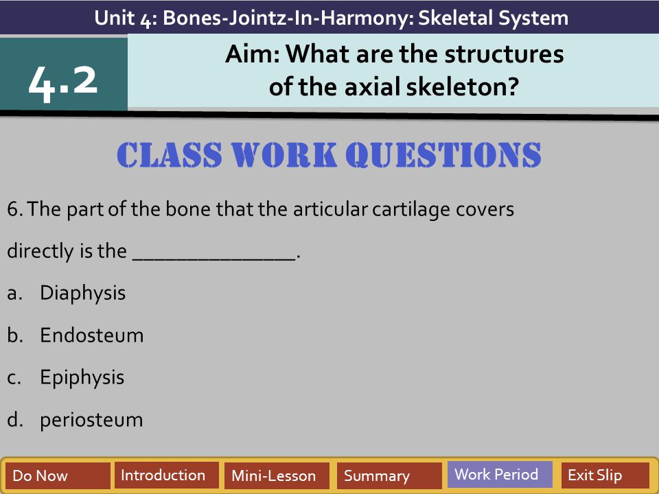 4.2 Class work questions Aim: What are the structures