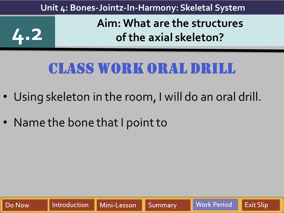 Unit 4: Bones-Jointz-In-Harmony: Skeletal System