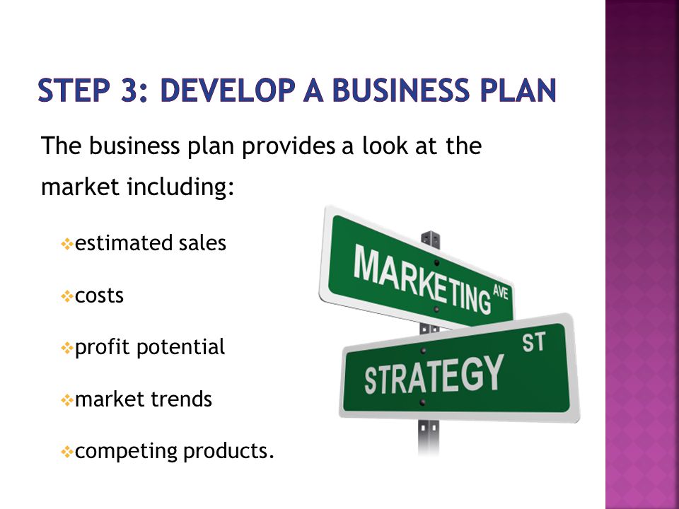 Step 3: Develop a Business Plan