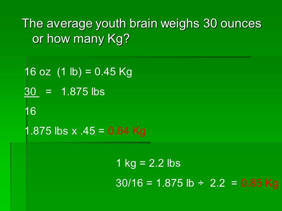 Medical Mathematics Ppt Video Online Download