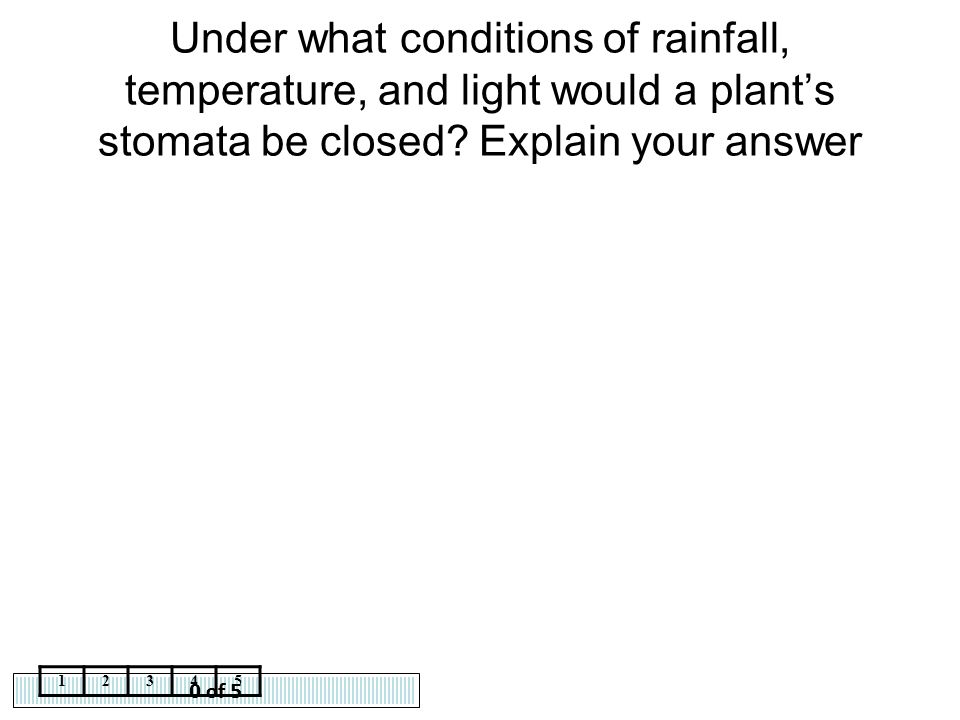 Under what conditions of rainfall, temperature, and light would a plant’s stomata be closed Explain your answer