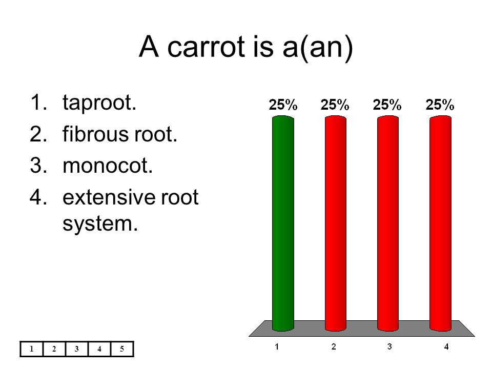 A carrot is a(an) taproot. fibrous root. monocot.