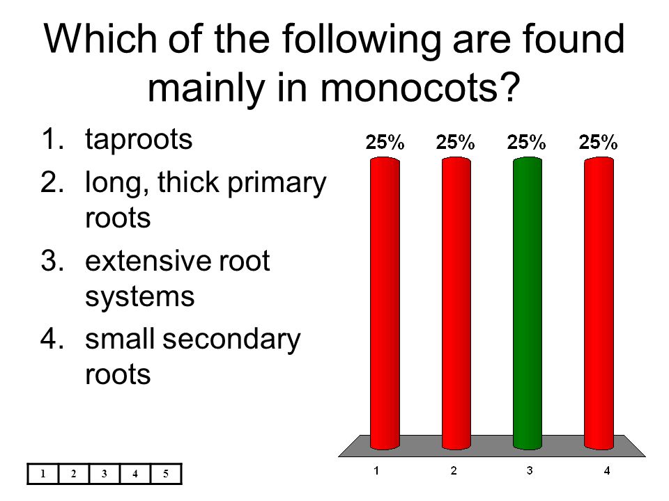 Which of the following are found mainly in monocots
