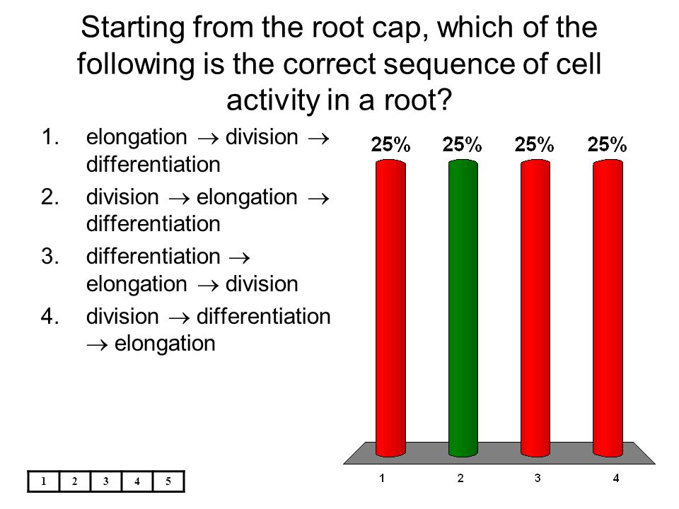 Starting from the root cap, which of the following is the correct sequence of cell activity in a root