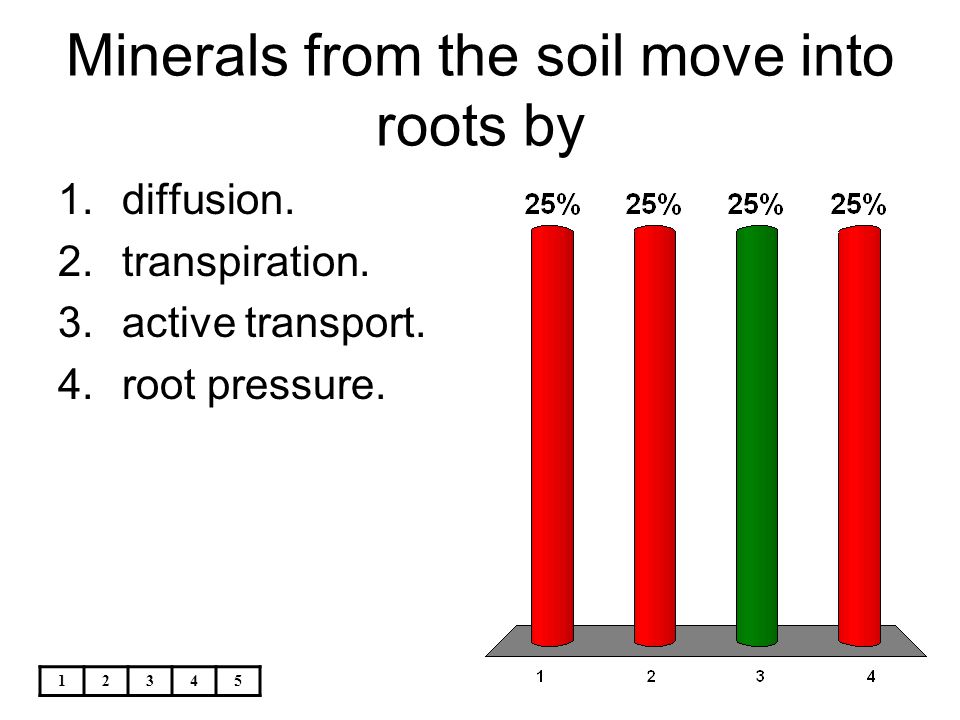 Minerals from the soil move into roots by