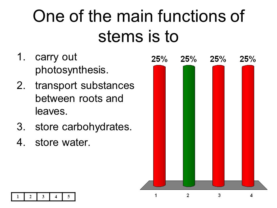 One of the main functions of stems is to