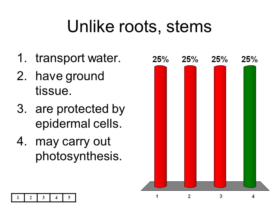 Unlike roots, stems transport water. have ground tissue.