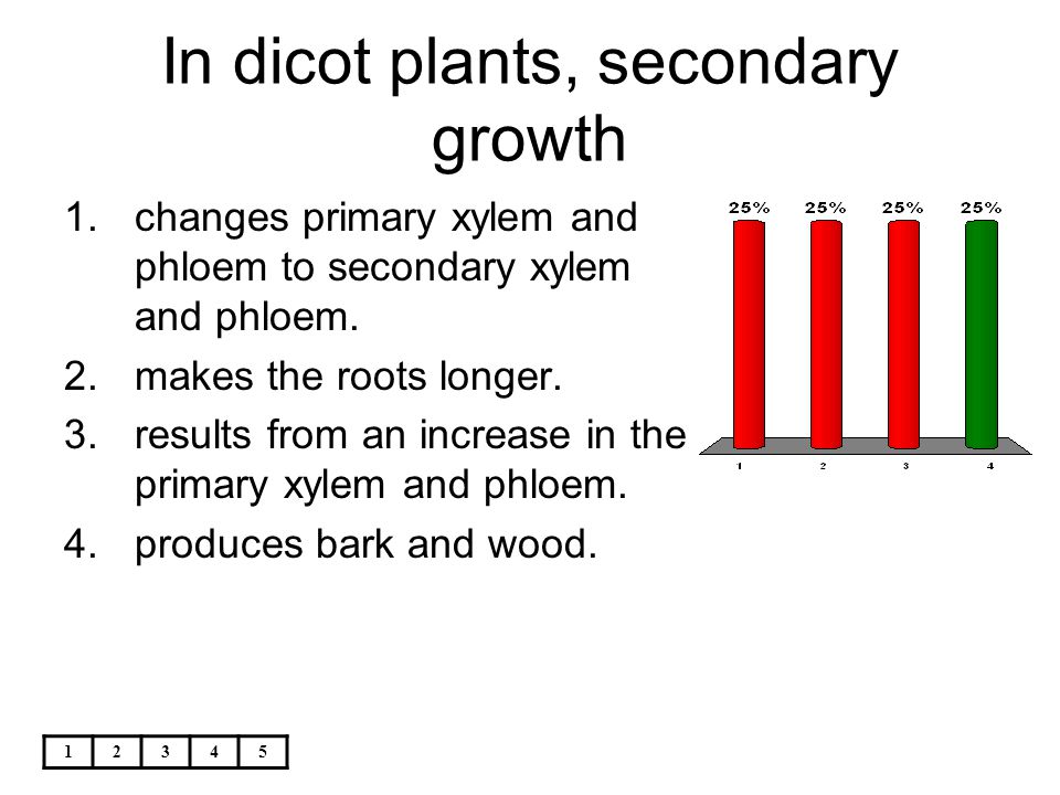 In dicot plants, secondary growth
